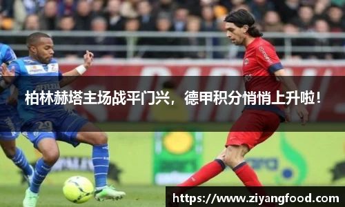 柏林赫塔主场战平门兴,德甲积分悄悄上升啦!