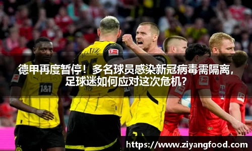 德甲再度暂停!多名球员感染新冠病毒需隔离,足球迷如何应对这次危机?